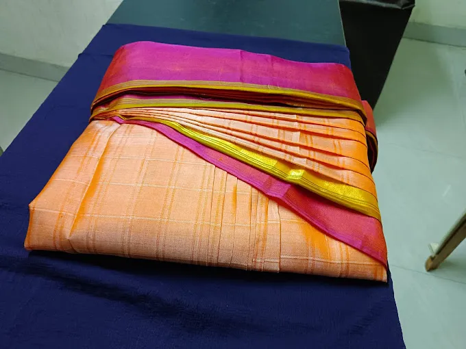 Neat Cute Saree Prepleat service